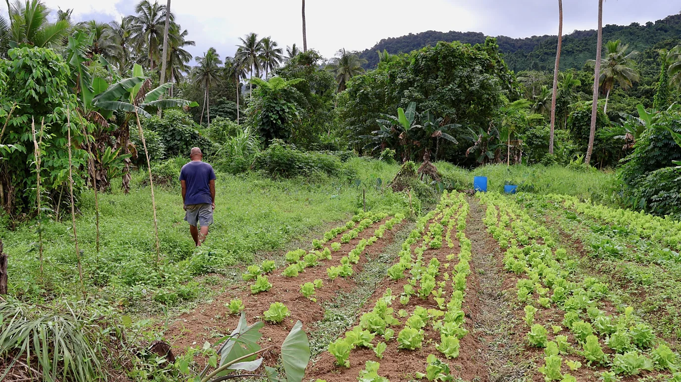 The unusual ways Fijians predict when a cyclone is approaching